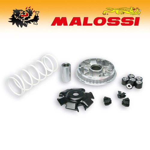 5111572 malossi variator - 5111572, [malossi]
