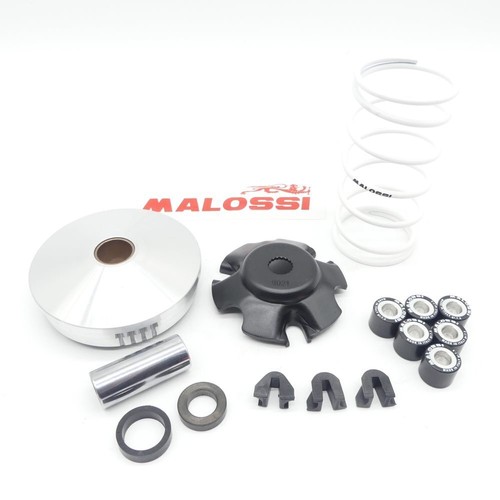 Variator malossi multivar 2000 - malossi,