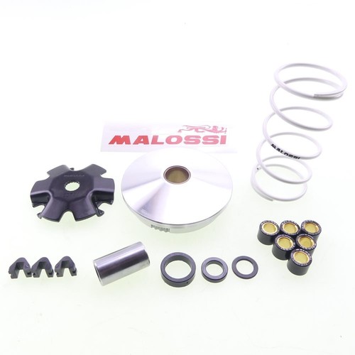 Variomatik malossi multivar - variomatik,