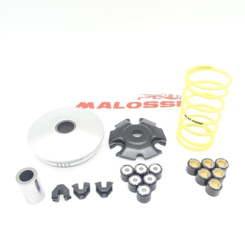 Variomatik malossi maxi - variomatik,