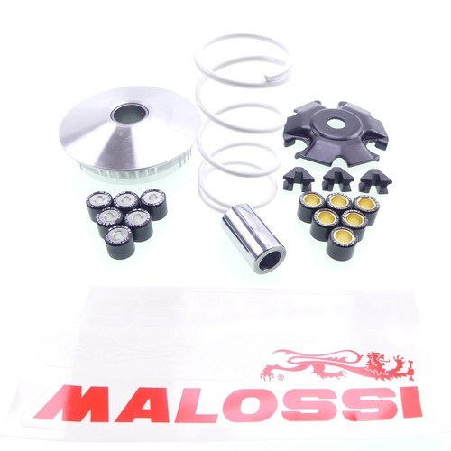 Variomatik malossi multivar - malossi,