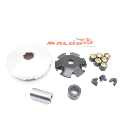 Variomatik malossi multivar - variomatik,