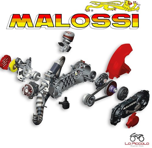 4917546 motor komplett - 4917546, malossi